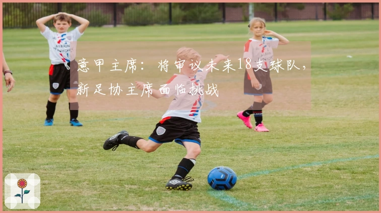 意甲主席：将审议未来18支球队，新足协主席面临挑战