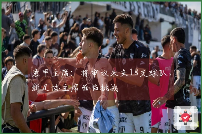 意甲主席：将审议未来18支球队，新足协主席面临挑战